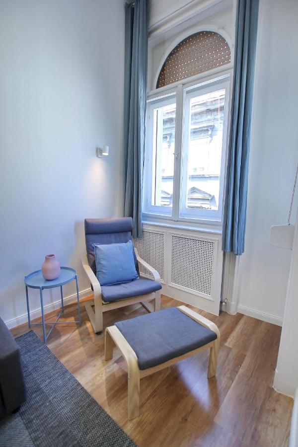 Pau Stylish In The Heart Of Budapešť